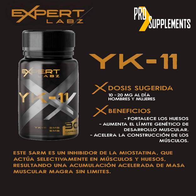 YK11